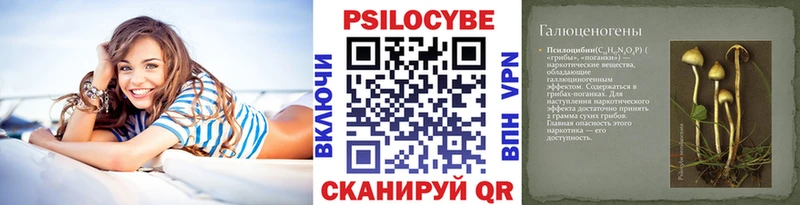 блэк спрут сайт как найти закладки Якутск Псилоцибиновые грибы Psilocybe
