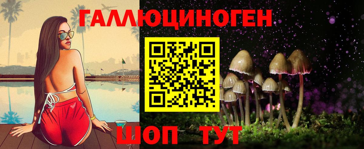 Псилоцибиновые грибы GOLDEN TEACHER  Вход с VPN  Якутск  Галлюциногенные грибы прущие грибы 